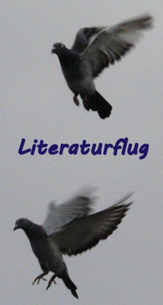 0 Literaturflug